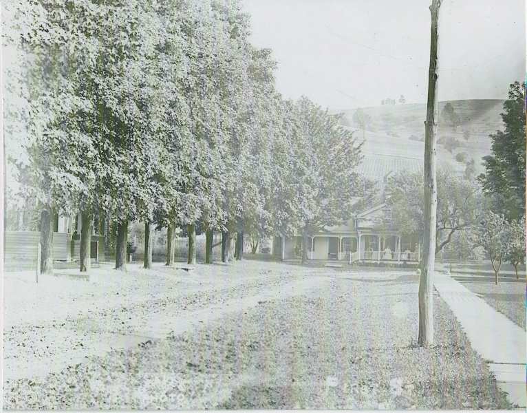 Andover Homes Days Gone By Allegany County Historical Society Gallery
